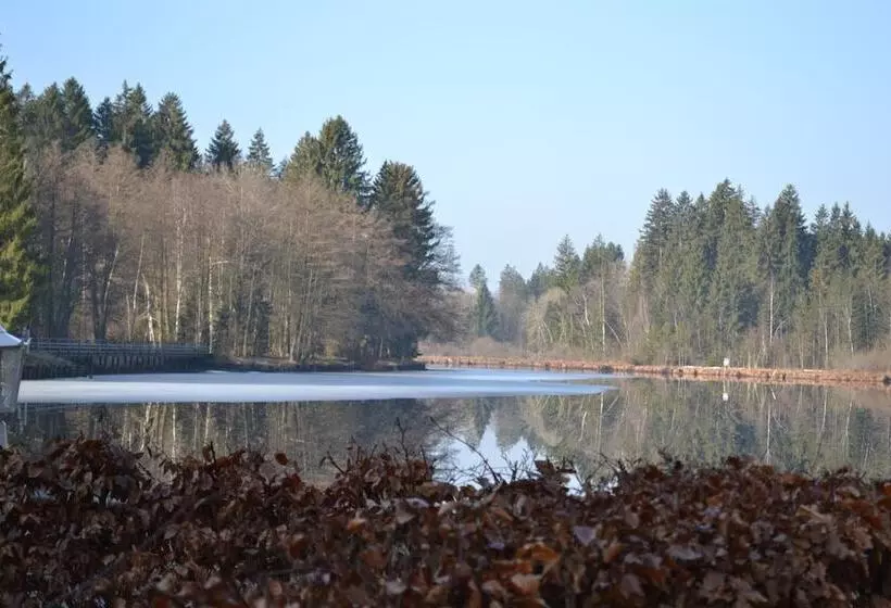 酒店 Waldsee