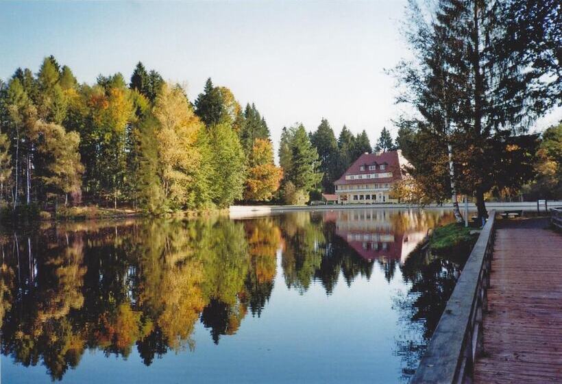 Hotelli Waldsee