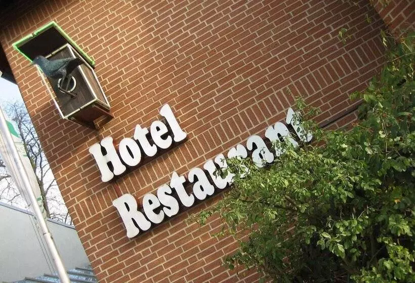 Hotelli Zum Starenkasten Gmbh