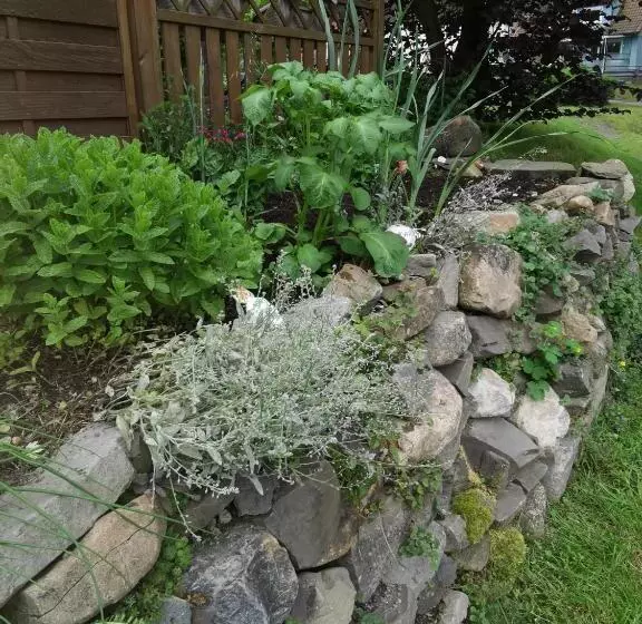 בית מלון כפרי Zur Schmiede