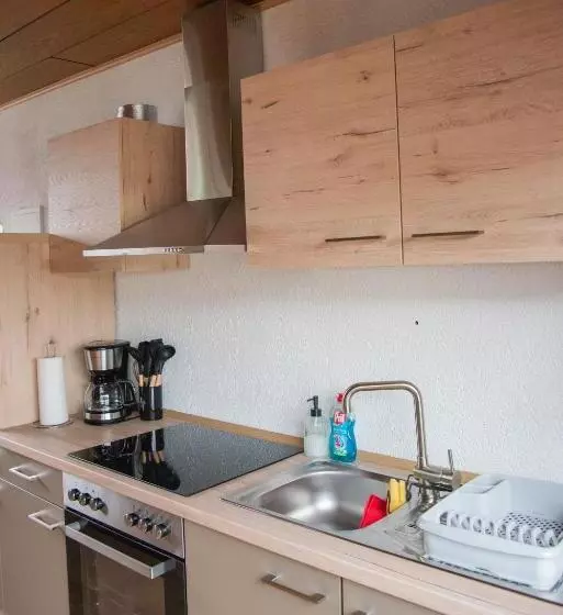 بنسيون Gasthaus Zum Odenwald