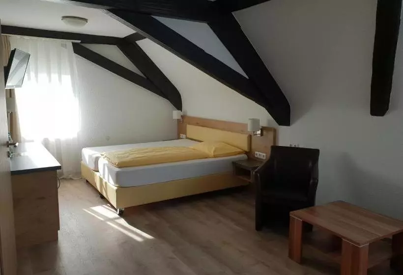 Majatalo Zum Ziel Hotel & Restaurant Grenzach Wyhlen Bei Basel