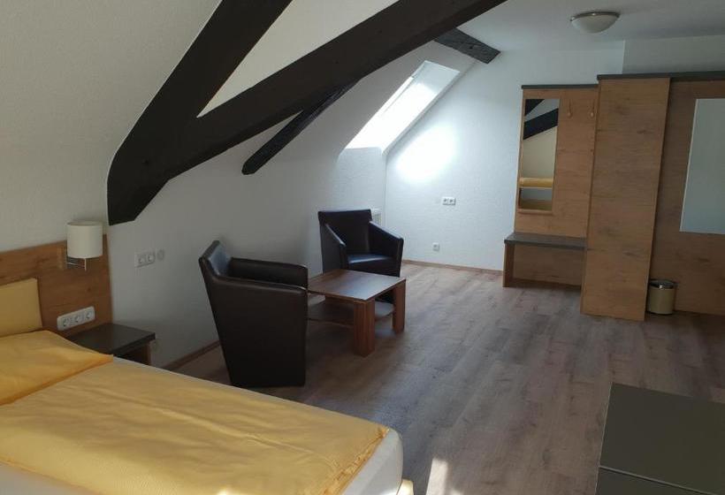 پانسیون Zum Ziel Hotel & Restaurant Grenzach Wyhlen Bei Basel