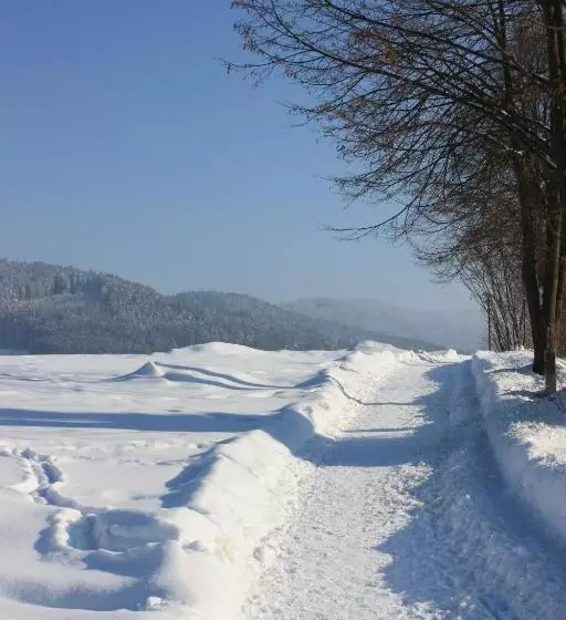 Posthotel Rattenberg