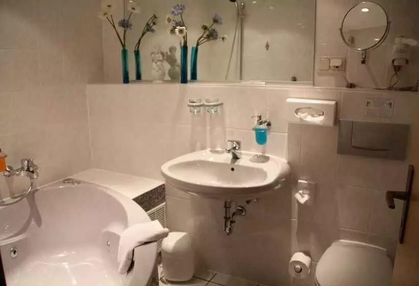 Trip Inn Hotel Zum Riesen Hanau