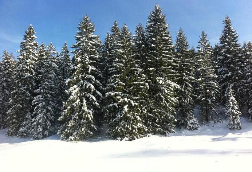 Alpenvilla Berchtesgaden