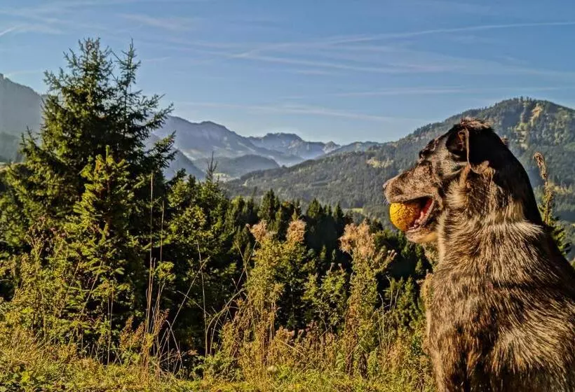 Hotelli Alpenhof Reuterwanne
