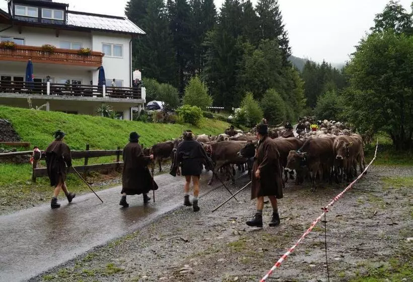 Hotelli Alpenhof Reuterwanne