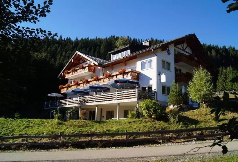 Hotelli Alpenhof Reuterwanne