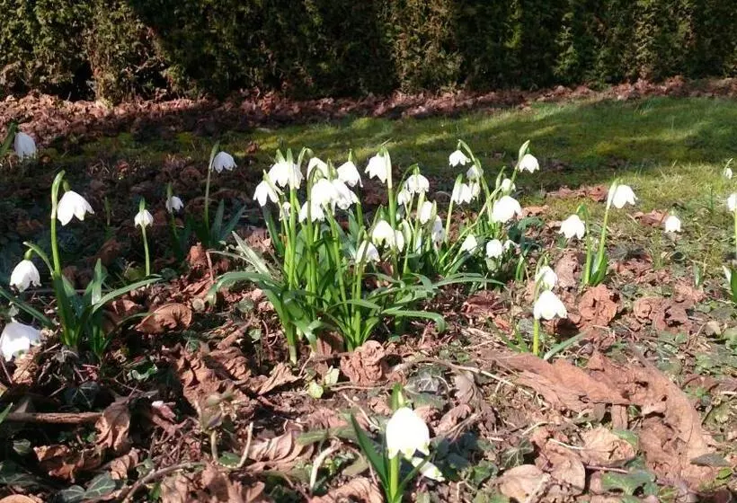 בית מלון כפרי Der Platengarten