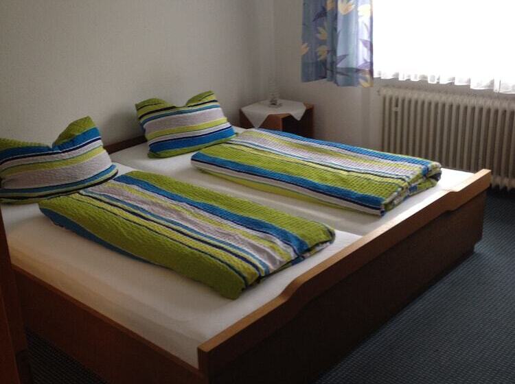 Отель Elsenztal