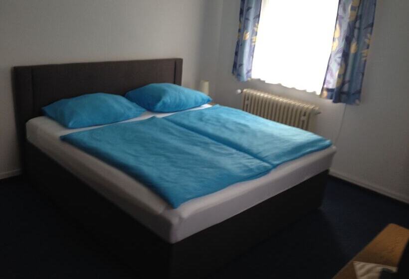 Отель Elsenztal