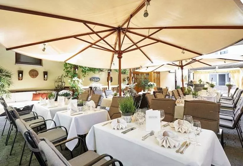 בית מלון כפרי Hanauerhof