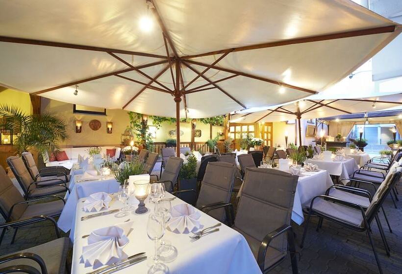 ホテル Hanauerhof