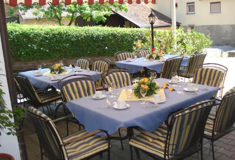 Отель Landhaus Zum Falken