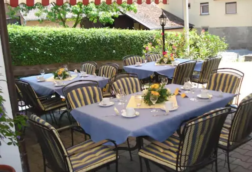 בית מלון כפרי Landhaus Zum Falken