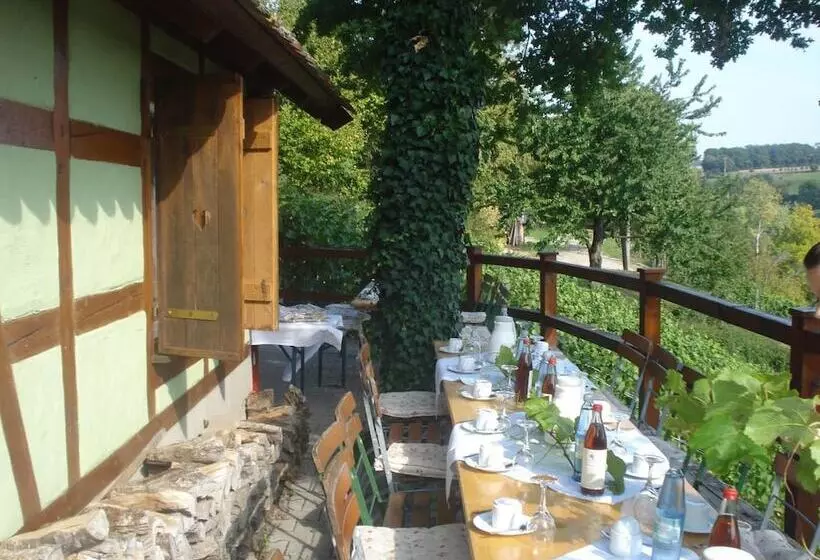 בית מלון כפרי Landhaus Zum Falken