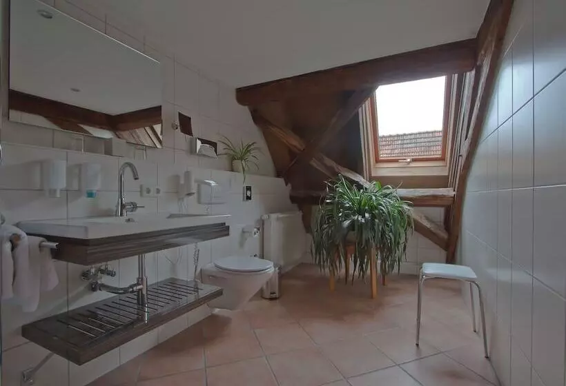 בית מלון כפרי Landhaus Zum Falken