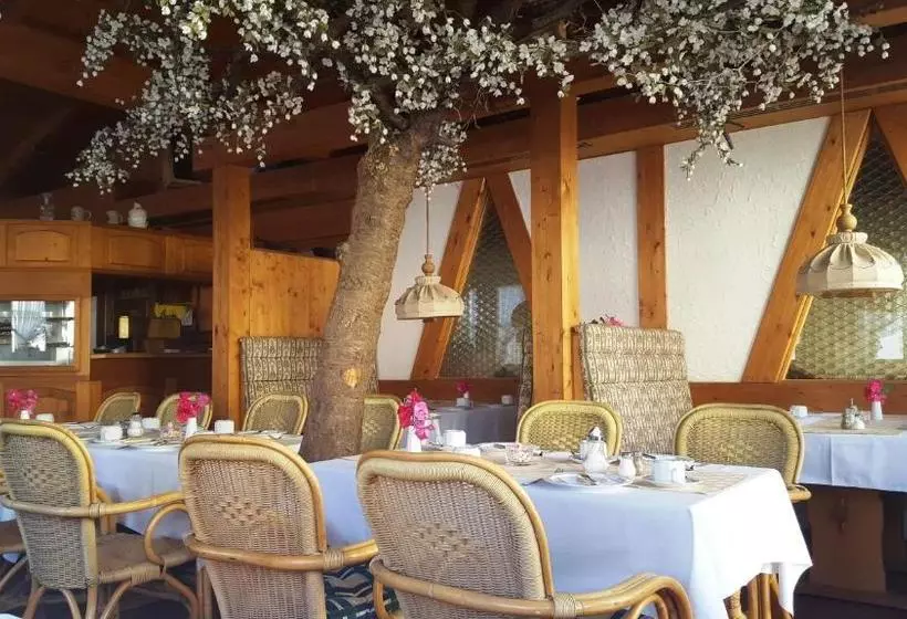 Meister Bär Hotel Bayreuth