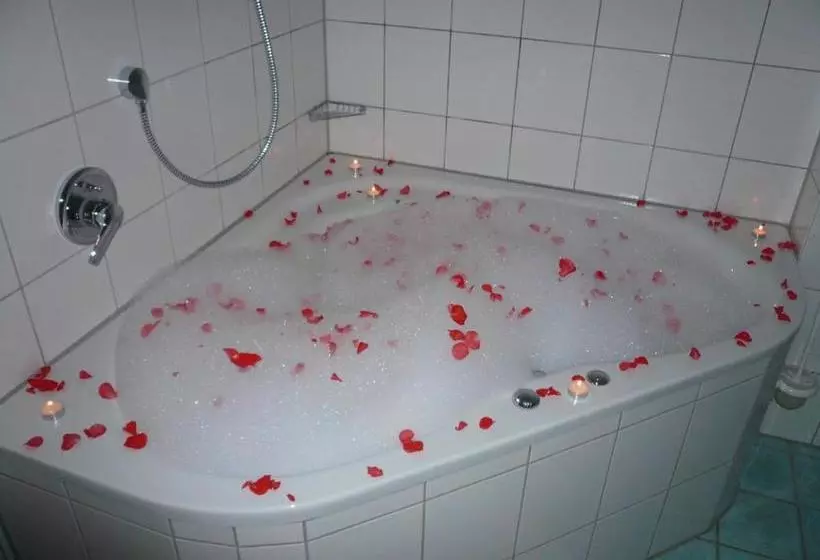 Meister Bär Hotel Bayreuth