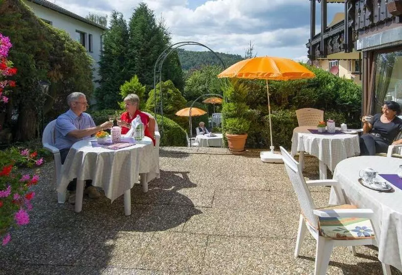 Отель Schloessmann Garni