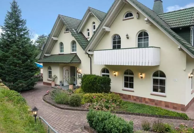 Отель Und Restaurant Grüner Hahn