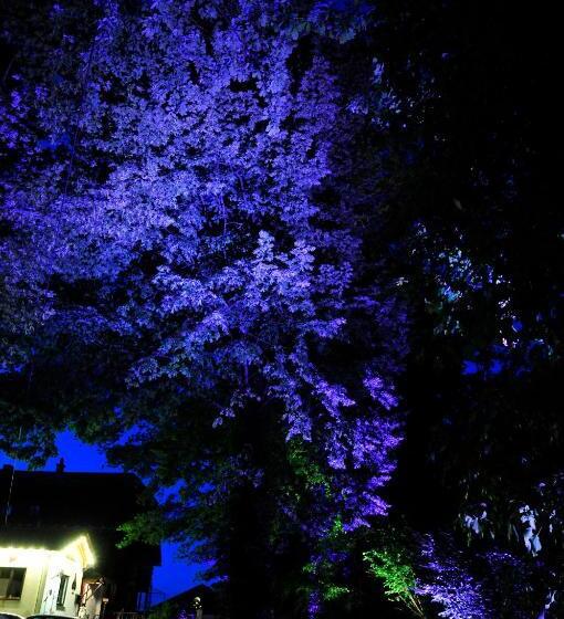 Hotelli Zum Zauberkabinett