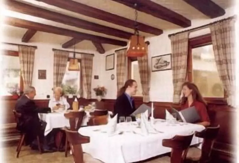 Пансион Der Gasthof In Alfdorf