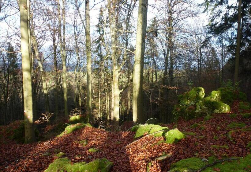 Pensão Gasthof Hotel Reif