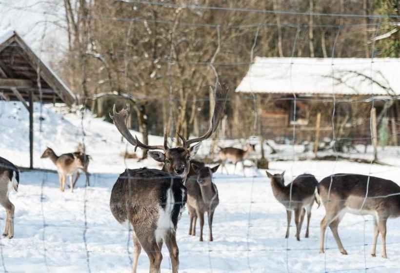 بنسيون Gasthof Mühlwinkl