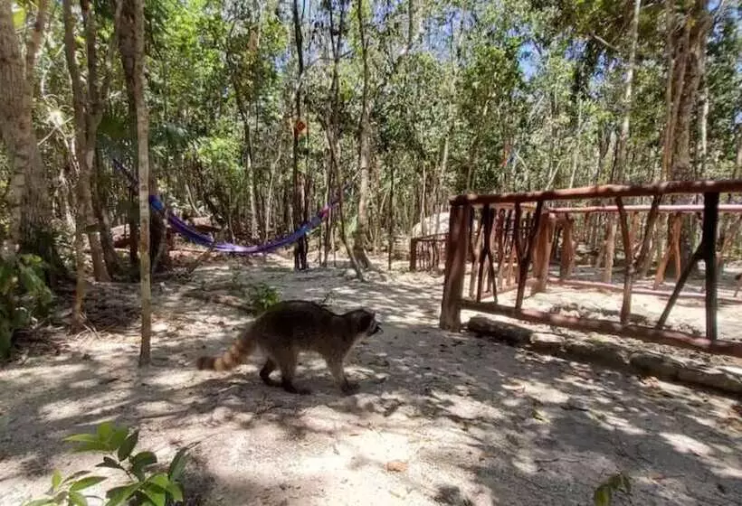Hotelli Aldea Mayaha Cabanas Con Cenotes