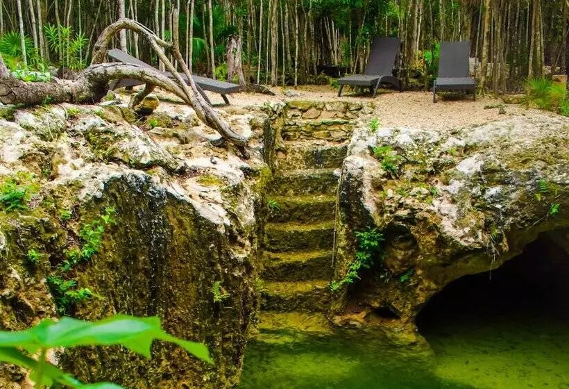 Hotelli Aldea Mayaha Cabanas Con Cenotes