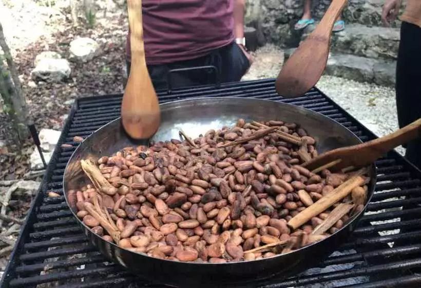 Hotelli Aldea Mayaha Cabanas Con Cenotes