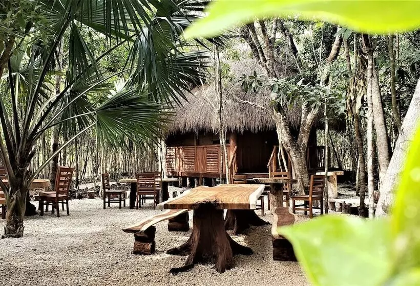 Hotelli Aldea Mayaha Cabanas Con Cenotes