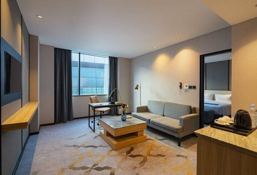 Hôtel Anara Airport