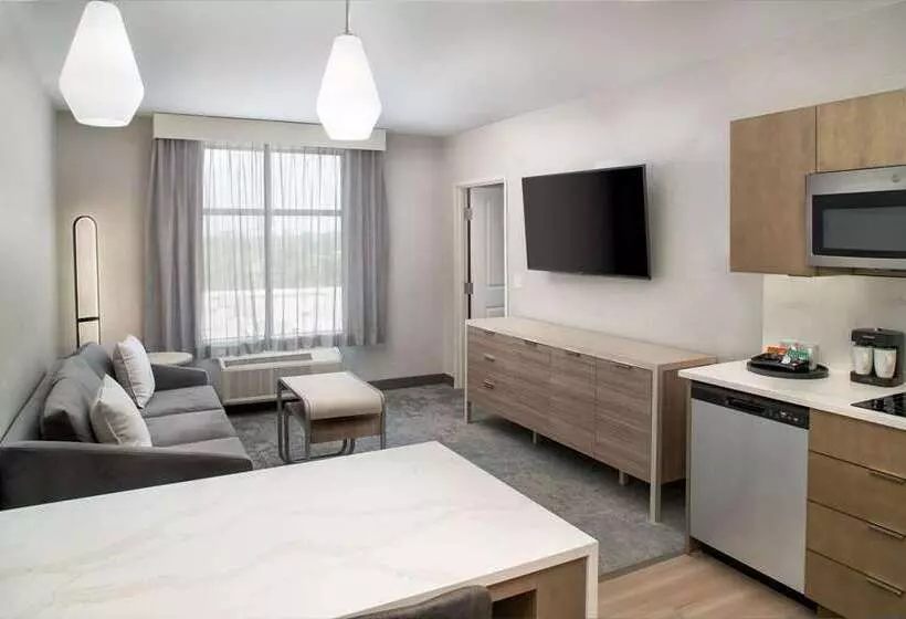 هتل Homewood Suites By Hilton Ann Arbor