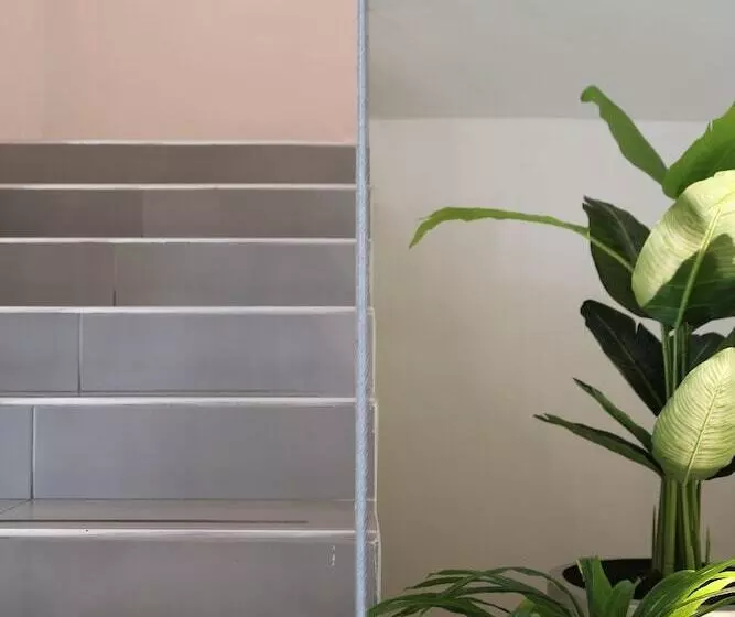 Hotelli Blanco Pachuca