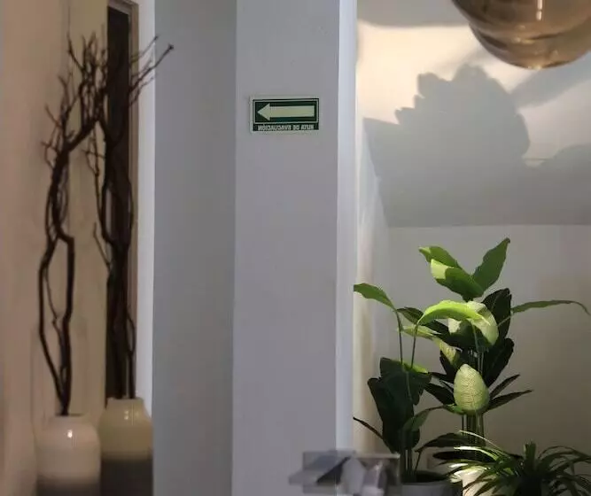 Hotelli Blanco Pachuca