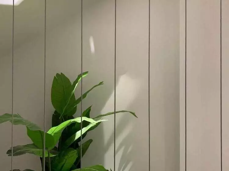 Hotelli Blanco Pachuca