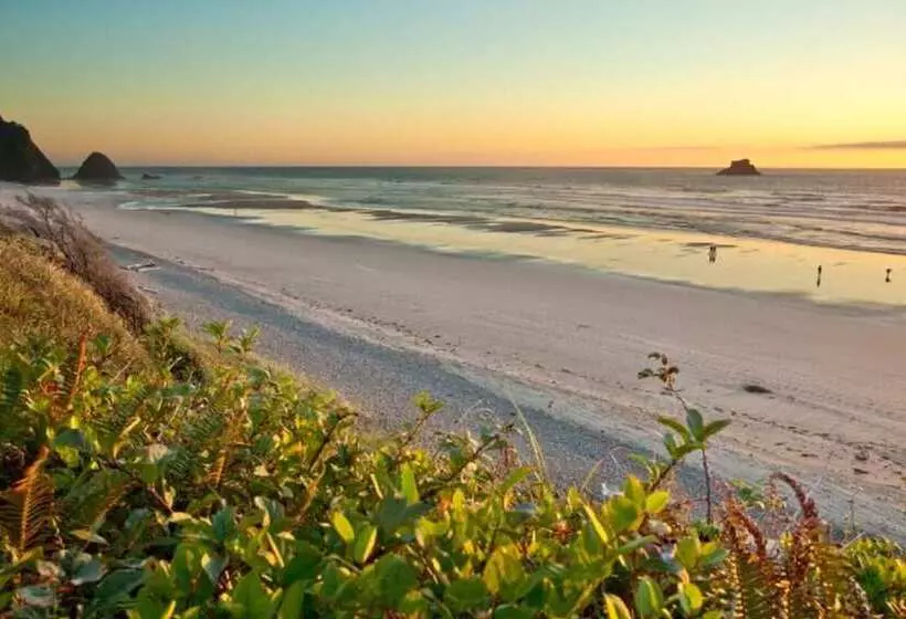 Arch Cape Escape By Avantstay Sensational Clift Top Home W Pacific Ocean Views