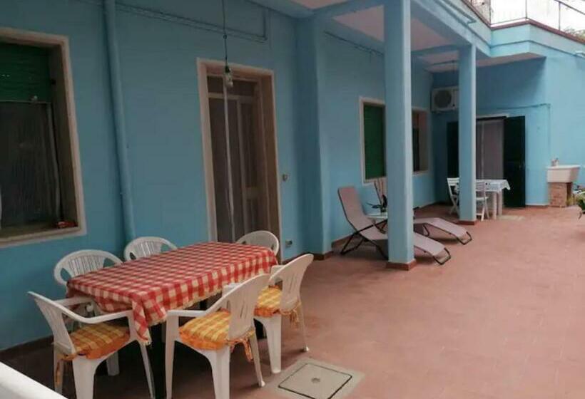 Bibbona Summer   Pineta 1