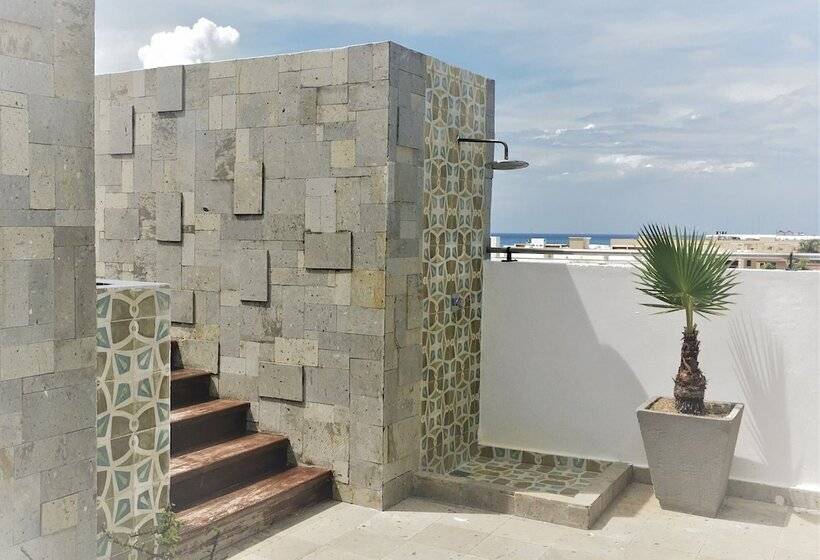 فندق Sole Suites