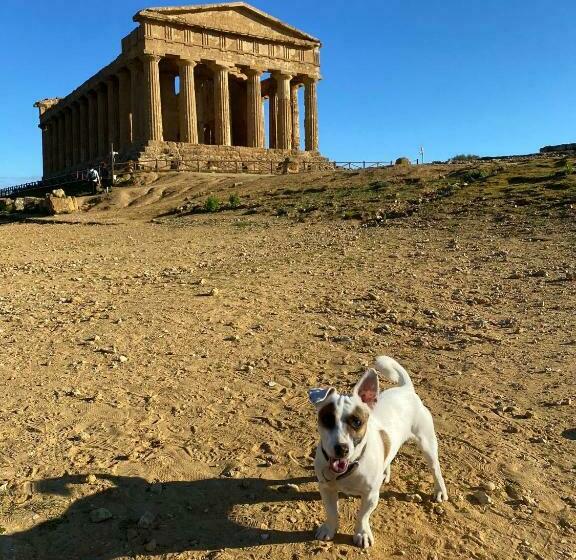 پانسیون Akragaroom