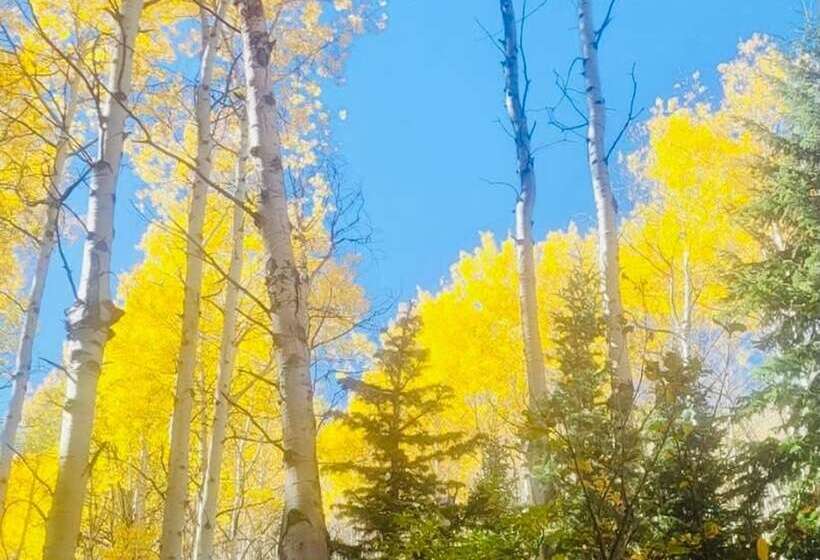 Mountain Cabin, Close To Slopes, 4br And 3ba, Hottub