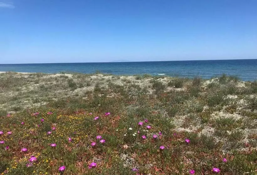 Alba Serena