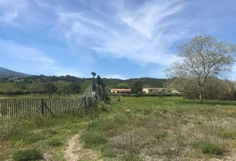 Alba Serena