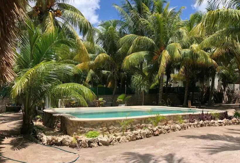 ベッドアンドブレックファースト Habitación Flamingo Casa María Bonita