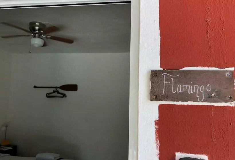 ベッドアンドブレックファースト Habitación Flamingo Casa María Bonita