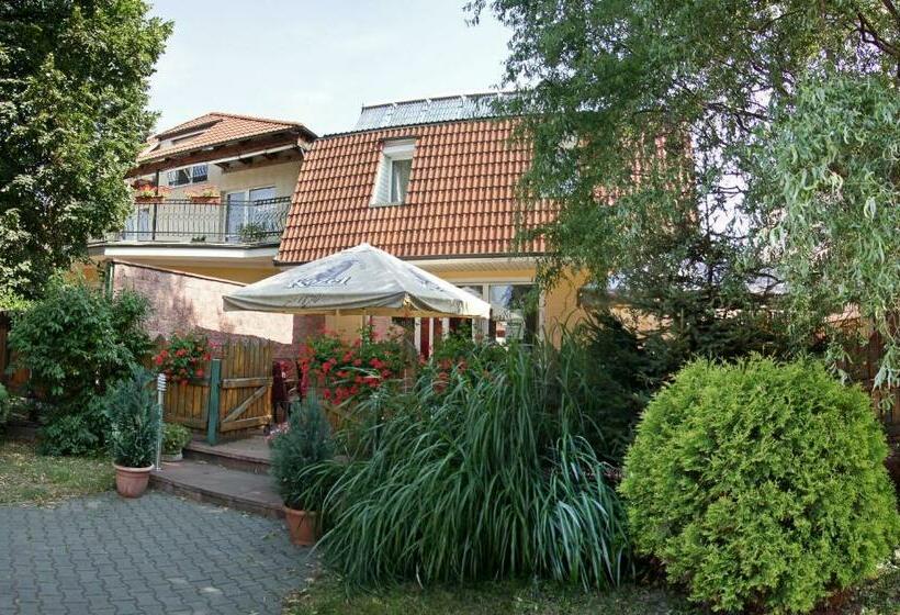 بنسيون Penzión Alberto