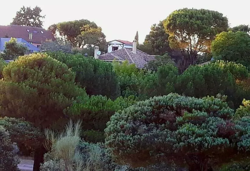 Acogedora Casa En Majadahonda